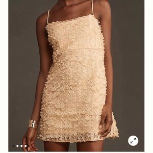 Anthropology Floral 3D Embellished Dress